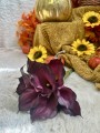 IMG_8250.jpeg