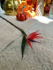 Rajski kwiat różowy 63 