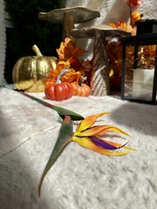 Rajski kwiat żółty 85