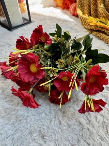 Bukiet stokrotek bordo 43 