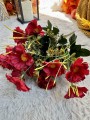 IMG_0418.jpeg