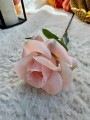 IMG_0423.jpeg