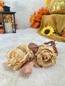 Róża jesienna herbaciana 75 