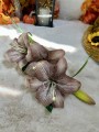 IMG_8799.jpeg