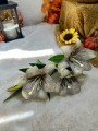 IMG_8806.jpeg