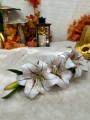 IMG_8810.jpeg
