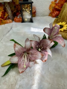 Lilia ombre  98 
