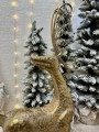 IMG_9145.jpeg