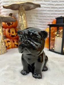 Buldog lustrzany czarny 20 