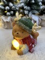 IMG_9304.jpeg
