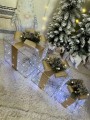IMG_9339.jpeg