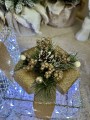 IMG_9342.jpeg