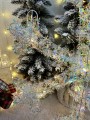 IMG_9377.jpeg