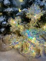 IMG_9380.jpeg
