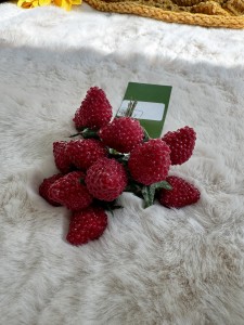 Jeżyna różowa  10  