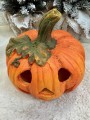 IMG_2522.jpeg