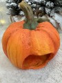 IMG_2523.jpeg