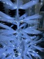 IMG_0067.jpeg