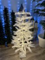 IMG_0076.jpeg