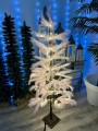 IMG_0078.jpeg