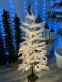 IMG_0079.jpeg