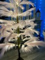 IMG_0080.jpeg