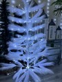 IMG_0082.jpeg