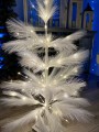 IMG_0091.jpeg