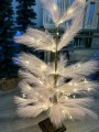 IMG_0097.jpeg