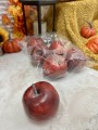 IMG_0278.jpeg