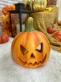 IMG_0284.jpeg