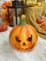 IMG_0285.jpeg