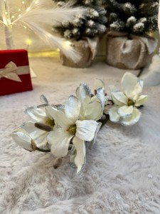 Magnolia ecru 80   