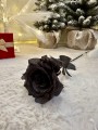 IMG_0586.jpeg