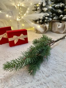 Gałązka zielona 82