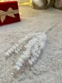 IMG_0606.jpeg