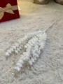IMG_0607.jpeg