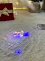 IMG_0725.jpeg