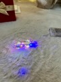 IMG_0726.jpeg