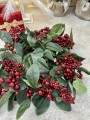 IMG_0807.jpeg