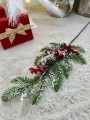 IMG_0847.jpeg