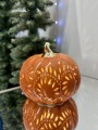 IMG_1123.jpeg