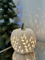 IMG_1211.jpeg
