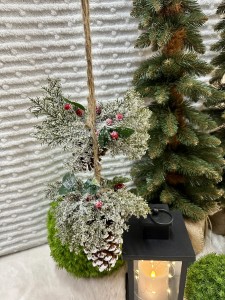 Szyszki  wiszące 62