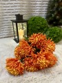 IMG_1875.jpeg