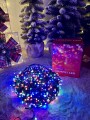 IMG_2043.jpeg