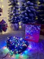 IMG_2053.jpeg