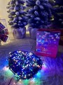 IMG_2054.jpeg