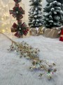 IMG_2111.jpeg