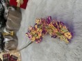 IMG_2122.jpeg